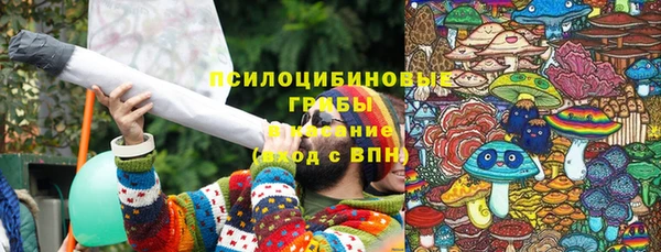 ПСИЛОЦИБИНОВЫЕ ГРИБЫ Алзамай