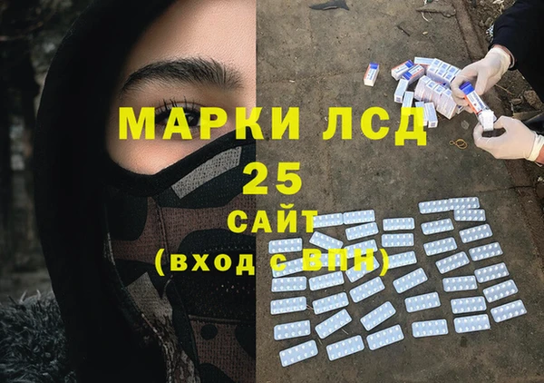 ПСИЛОЦИБИНОВЫЕ ГРИБЫ Алзамай
