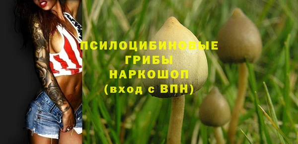 твердый Алексин