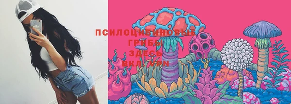 твердый Алексин