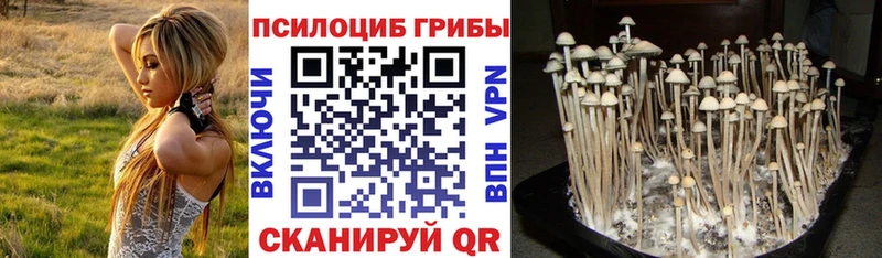 блэк спрут вход  Лебедянь  Псилоцибиновые грибы мухоморы  сколько стоит 